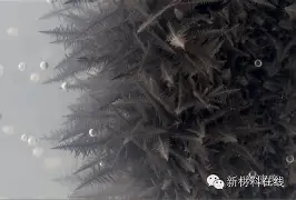 转会期里昂防线松动——意甲节点到来，震撼外界，团队化学反应显著