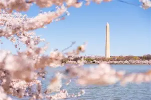 库洛二创事件背后原因